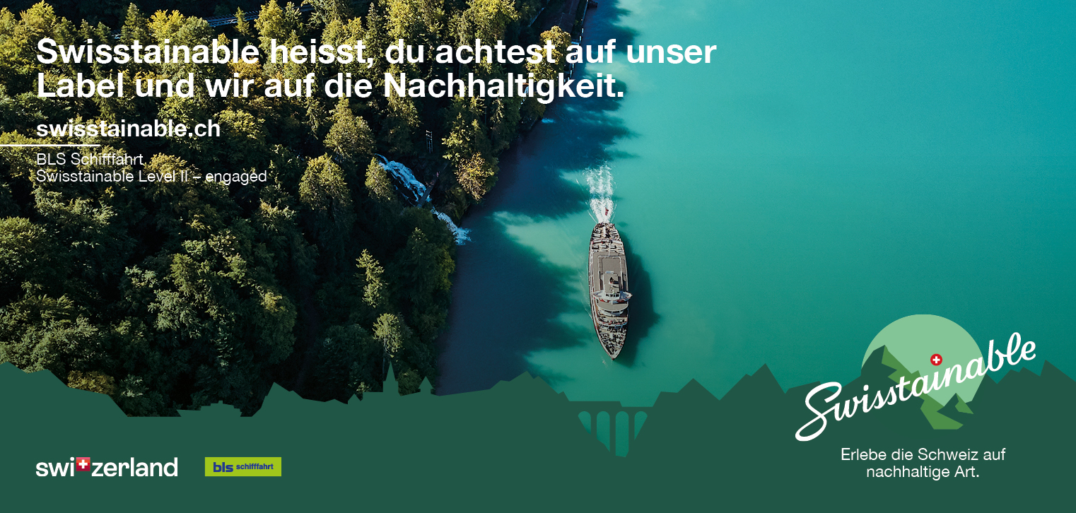 Bild Vogelperspektive mit Schiff auf dem Brienzersee