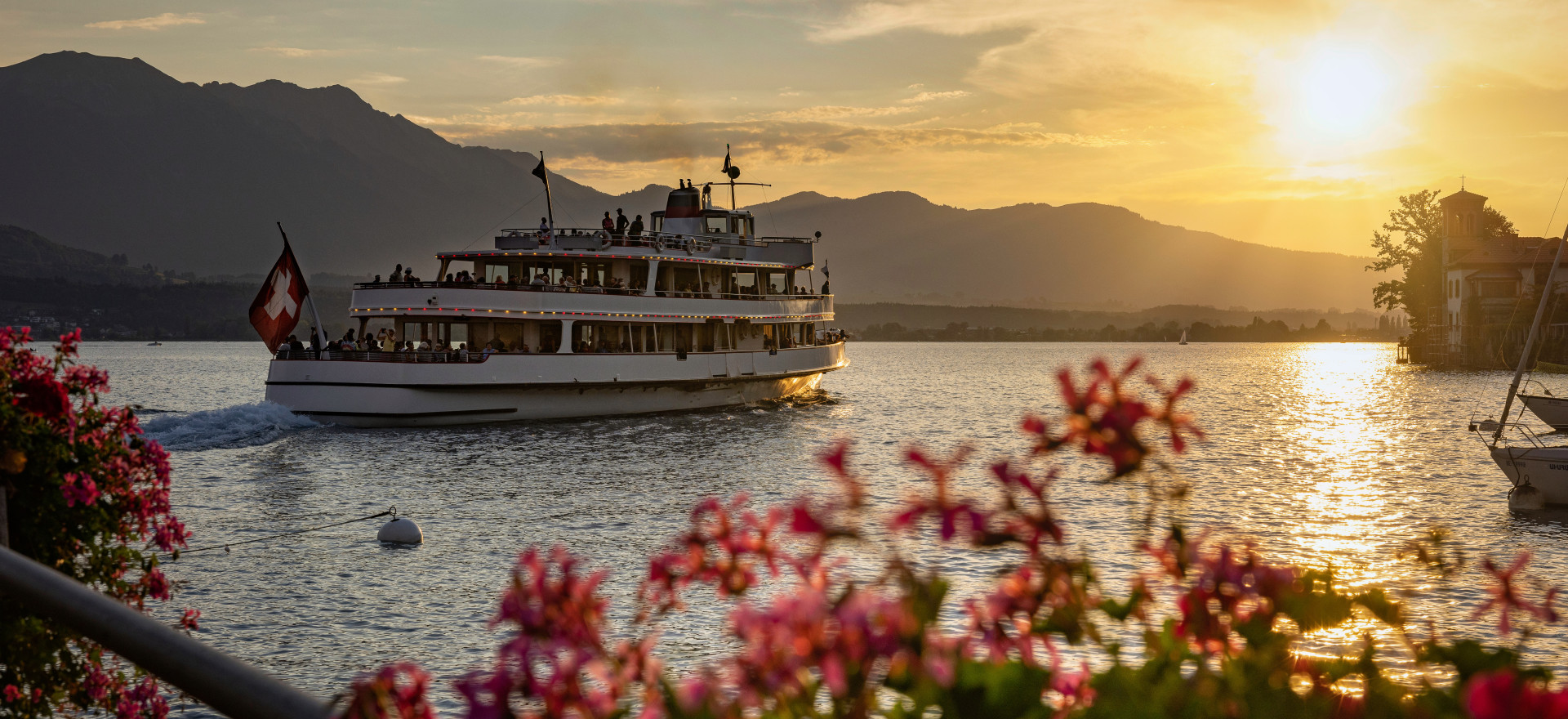 Blumen und im Hintergrund Schiff auf Thunersee