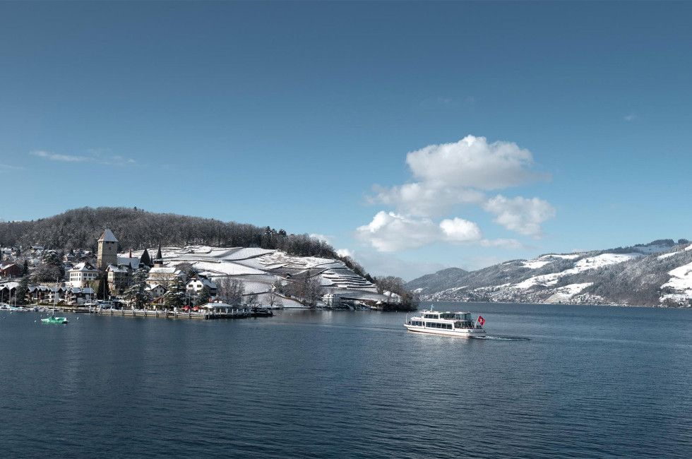 Schiff fährt Spiez im Winter an