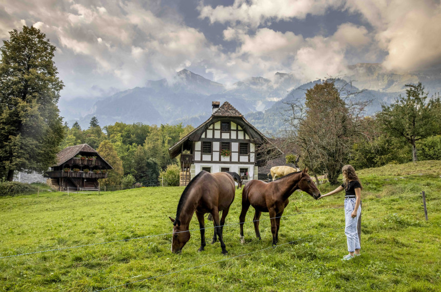 Pferde mit Mädchen auf grüner Wiese, Bauernhof im Hintergrund