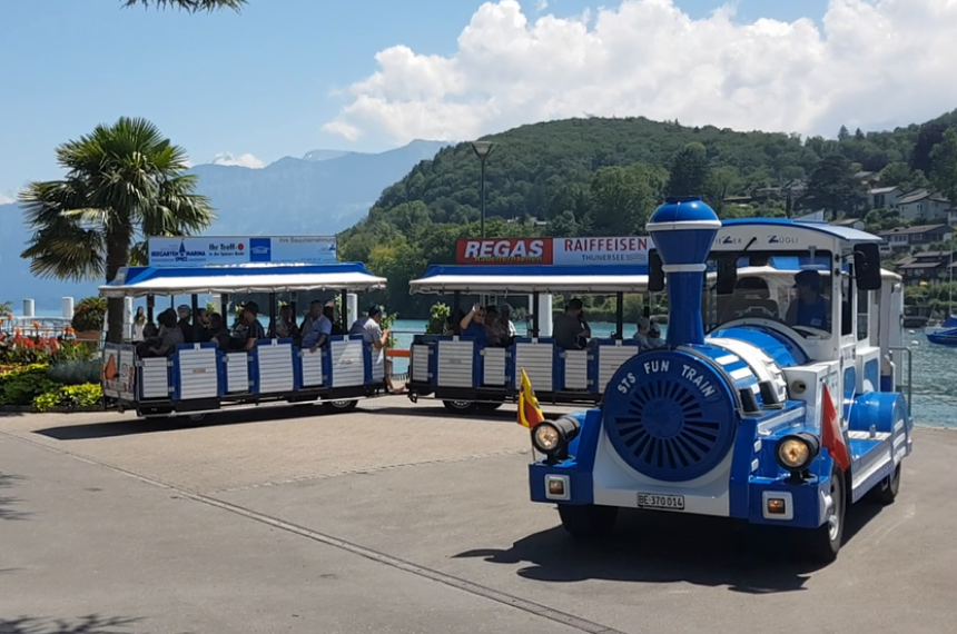 Blau-weisser Zug auf der Strasse, im Hintergrund Wald