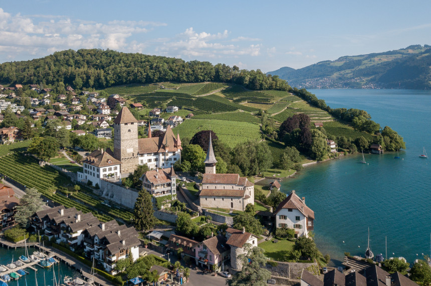 Schloss mit See und Weinberge